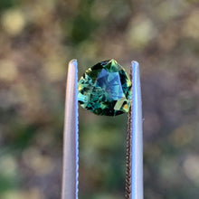 1.3ct Wattle Sapphire, Trillion