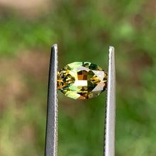 1.45ct Parti Sapphire, Oval