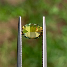 1.45ct Parti Sapphire, Oval