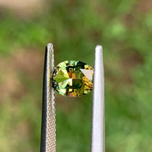 1.45ct Parti Sapphire, Oval