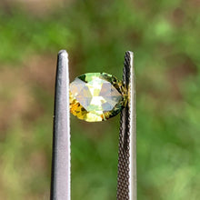 1.45ct Parti Sapphire, Oval