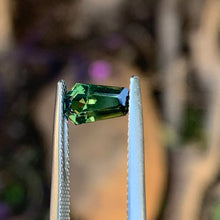 1.45ct Wattle Sapphire, Coffin Shape