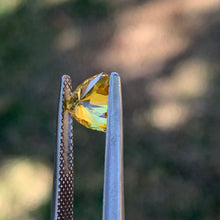 1.49ct Golden Yellow Sapphire, Trillion