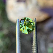 1.52ct Parti Sapphire, Round
