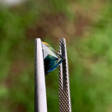 1.52ct Parti Sapphire, Trillion