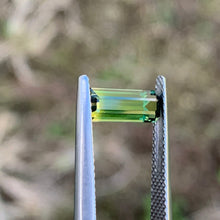 1.54ct Wattle Parti Sapphire, Long Emerald Shape
