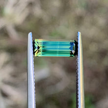 1.54ct Wattle Parti Sapphire, Long Emerald Shape