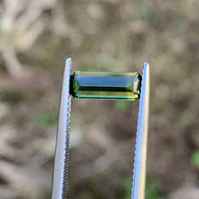1.54ct Wattle Parti Sapphire, Long Emerald Shape
