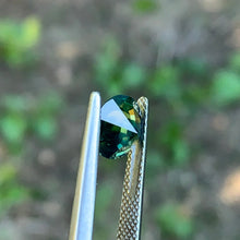 1.55ct Parti Sapphire, Round