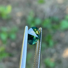 1.55ct Parti Sapphire, Round