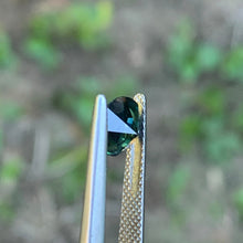 1.55ct Parti Sapphire, Round