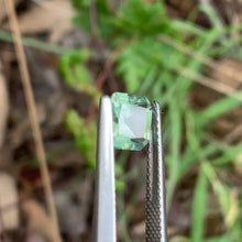 1.58ct Silky Green Sapphire Octagon