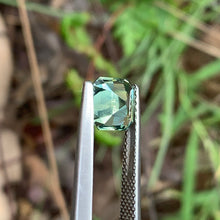1.58ct Silky Green Sapphire Octagon