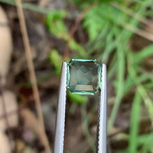 1.58ct Silky Green Sapphire Octagon