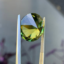 15.91ct Wattle Parti Sapphire, Round