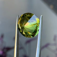 15.91ct Wattle Parti Sapphire, Round