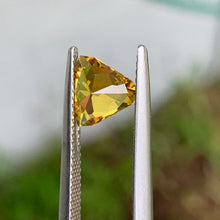 1.59ct Golden Yellow Sapphire, Trillion