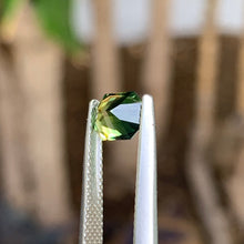 1.5ct Parti Sapphire, Emerald Shape