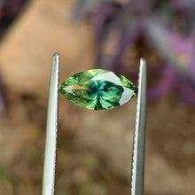 1.62ct Parti Sapphire, Marquise