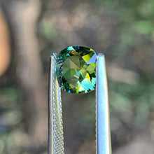 1.63ct Parti Sapphire, Cushion