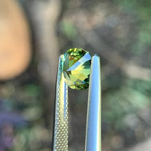 1.63ct Parti Sapphire, Cushion