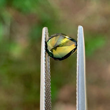 1.64ct Wattle Parti Sapphire, Pear