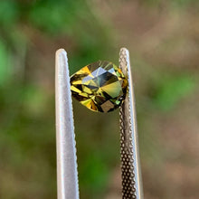1.64ct Wattle Parti Sapphire, Pear