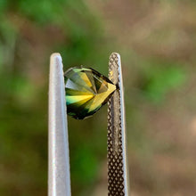 1.64ct Wattle Parti Sapphire, Pear