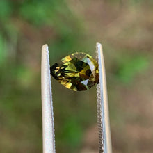 1.64ct Wattle Parti Sapphire, Pear