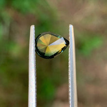 1.64ct Wattle Parti Sapphire, Pear