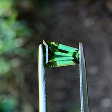 1.65ct Green Sapphire, Freeform