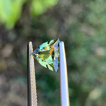 1.6ct Parti Sapphire, Trillion