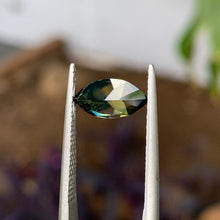 1.73ct Parti Australian Sapphire, Marquise