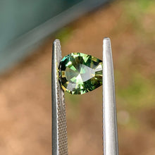 1.73ct Parti Sapphire, Egg Shape