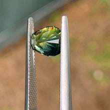 1.73ct Parti Sapphire, Egg Shape