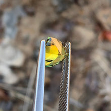 1.75ct Parti Sapphire Trillion