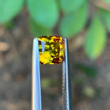 1.79ct Yellow/Green Bi Color Sapphire Parti Radiant