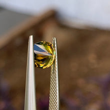 1.93ct Wattle Australian Sapphire, Cushion