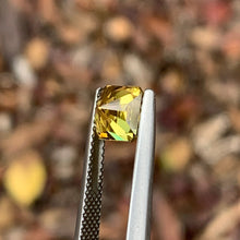 1.95ct Yellow Parti Sapphire Octagon