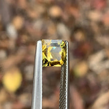 1.95ct Yellow Parti Sapphire Octagon