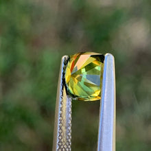 1.9ct Parti Sapphire, Cushion