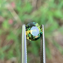 1.9ct Wattle Sapphire, Round