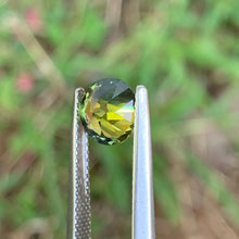 1.9ct Wattle Sapphire, Round