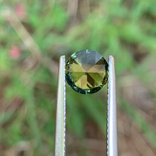 1.9ct Wattle Sapphire, Round