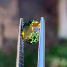 2.19ct Wattle Parti Sapphire, Round