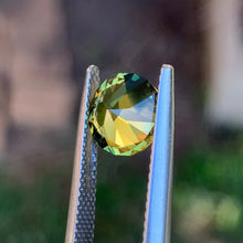 2.19ct Wattle Parti Sapphire, Round