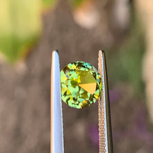 2.1ct Wattle Parti Sapphire, Round