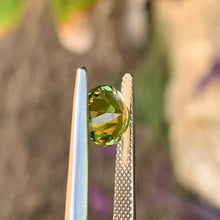 2.1ct Wattle Parti Sapphire, Round