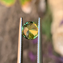 2.1ct Wattle Parti Sapphire, Round