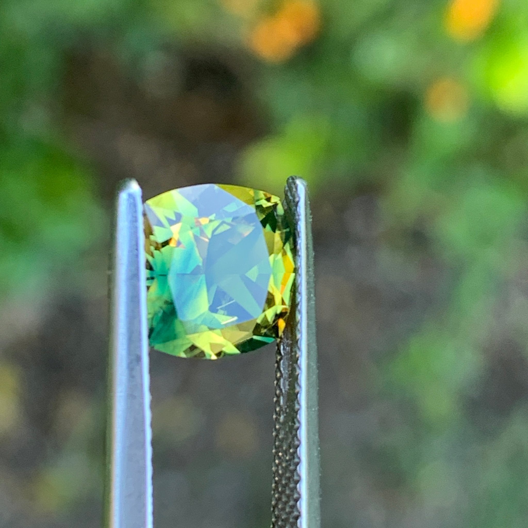 2.32ct Wattle Sapphire, Cushion 8.7mm